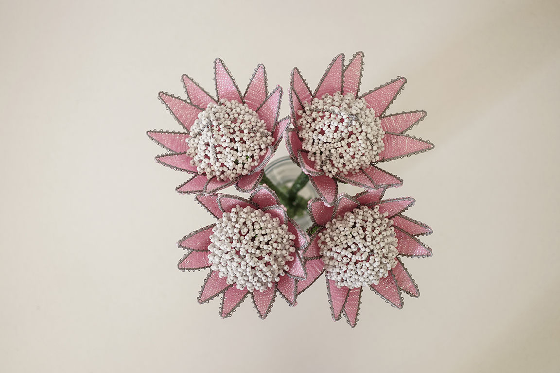King Protea