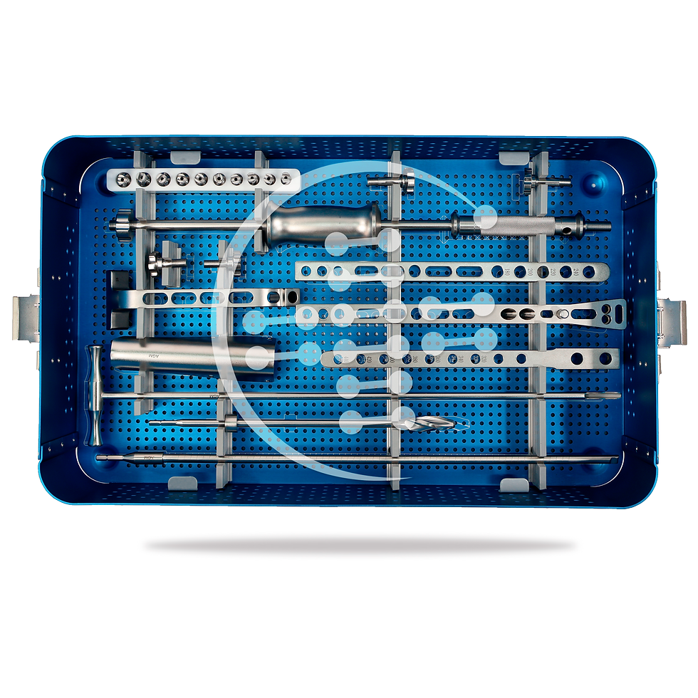 Miniatura: SET CLAVO FÉMUR EXPERT