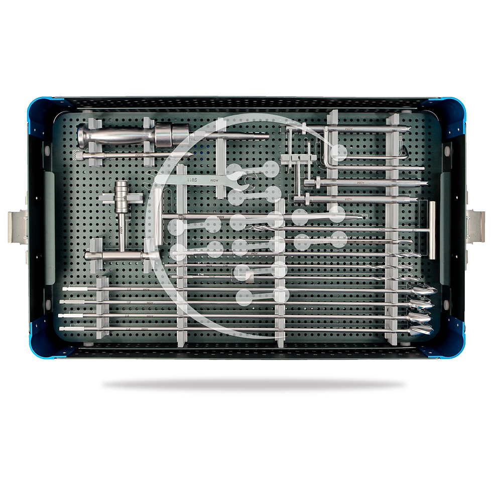 Miniatura: SET DE CLAVO FÉMUR