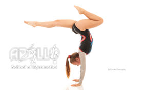 Gymnastics Photography by Bill Krautler