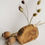 Miniaturbild: Desert Rose