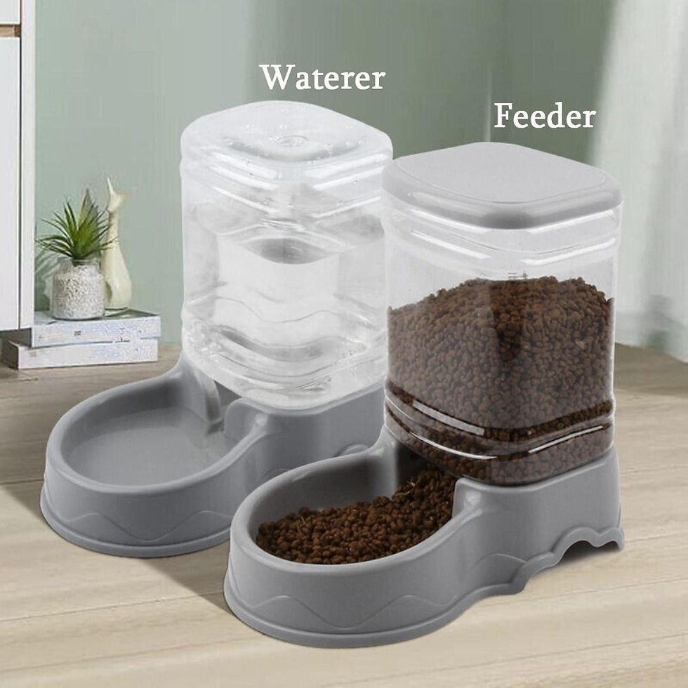Thumbnail: 3.8L PP material Pet feeder Pet Water Fountain Drink Bowl Automatic Pet Feeder L