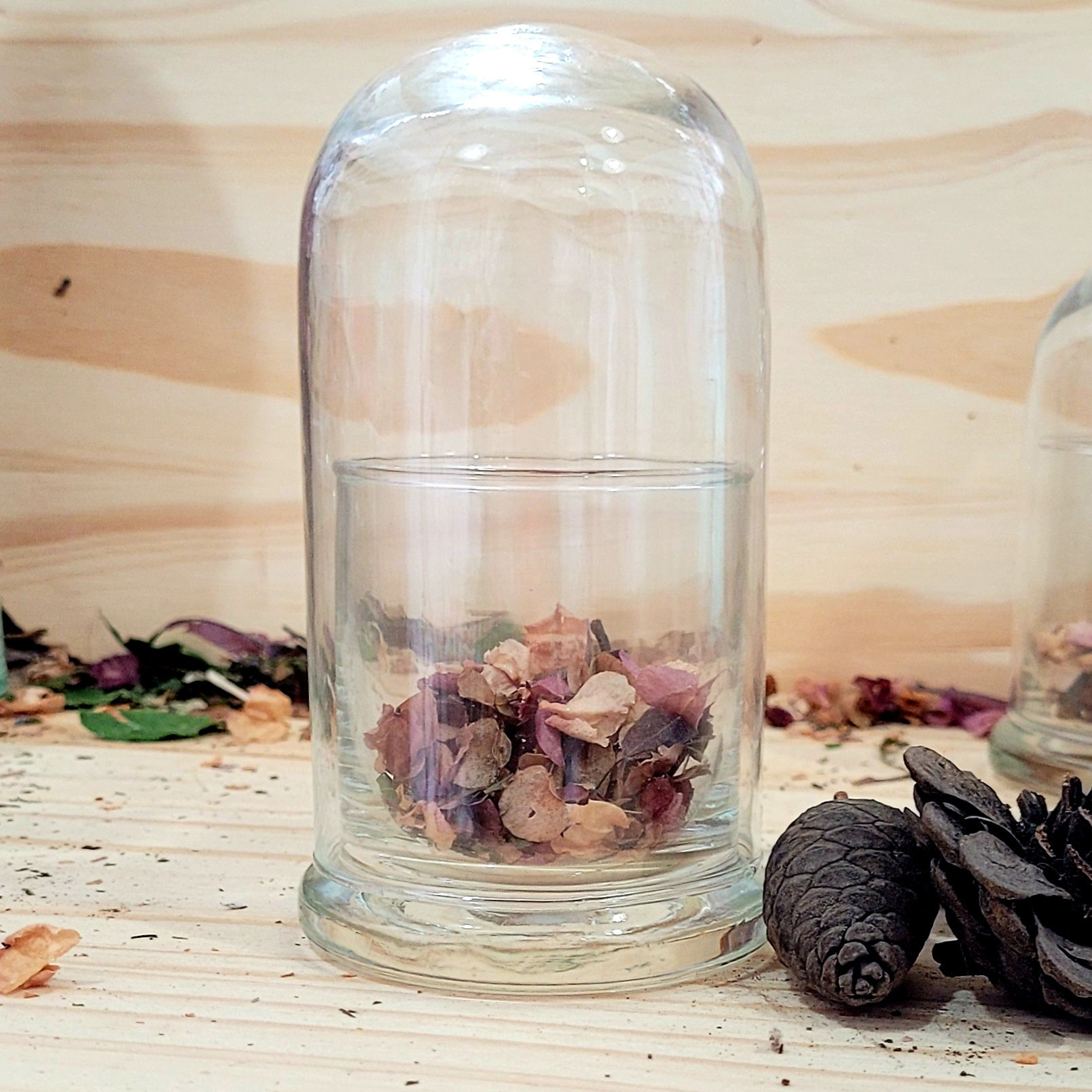 Domo Dely B12 [ 7x12 de Alto] 