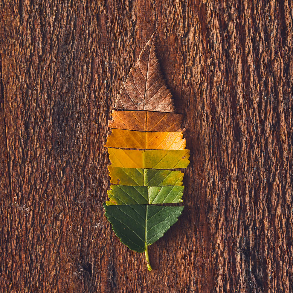 Connectworks Background Image