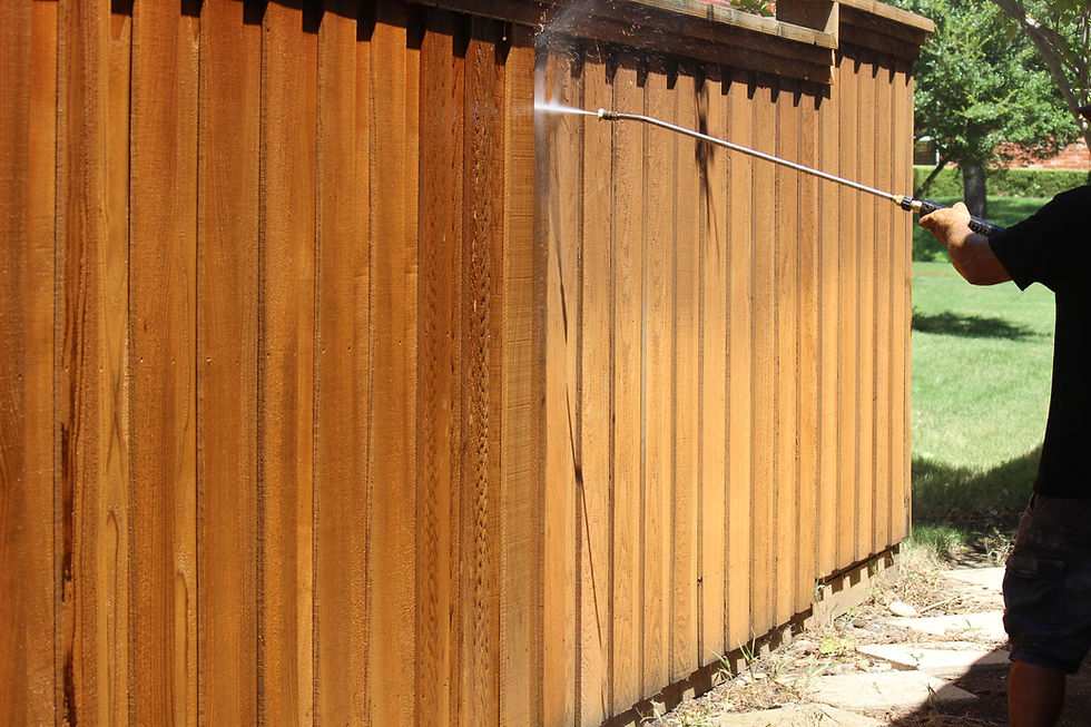 Fence Cleaning