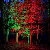 holiday lighting in nh
