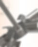 SPIN-Website-Banner-03_edited.jpg