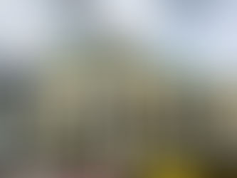 Mastering Berlin’s Transport System: Your Complete Guide to Getting Around