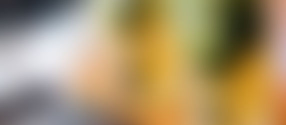 Berlin for Food Lovers: Street Food, Markets & Hidden Restaurants