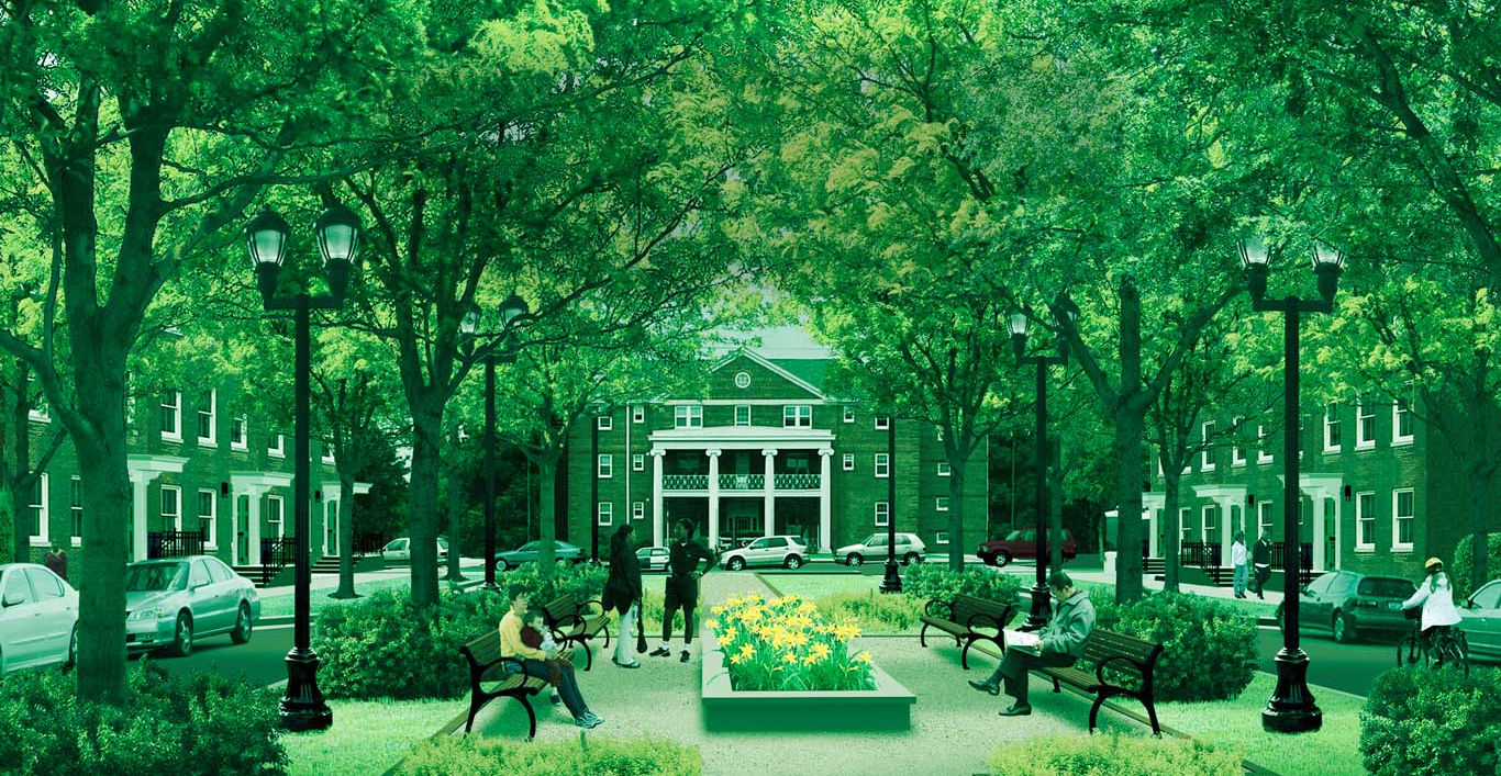 urban trees in park