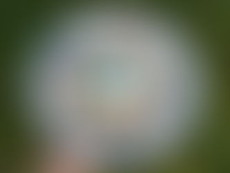 Allergy-Relief Millet & White Bean Bowl – for Immune Balance