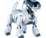 Robot WiFI