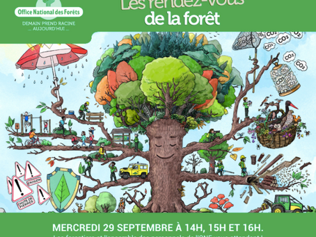 Inédit - EVENEMENT ONF : Le 29/09 les forestiers vont répondre à vos questions.