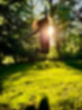 IMG_0929 Large.jpeg