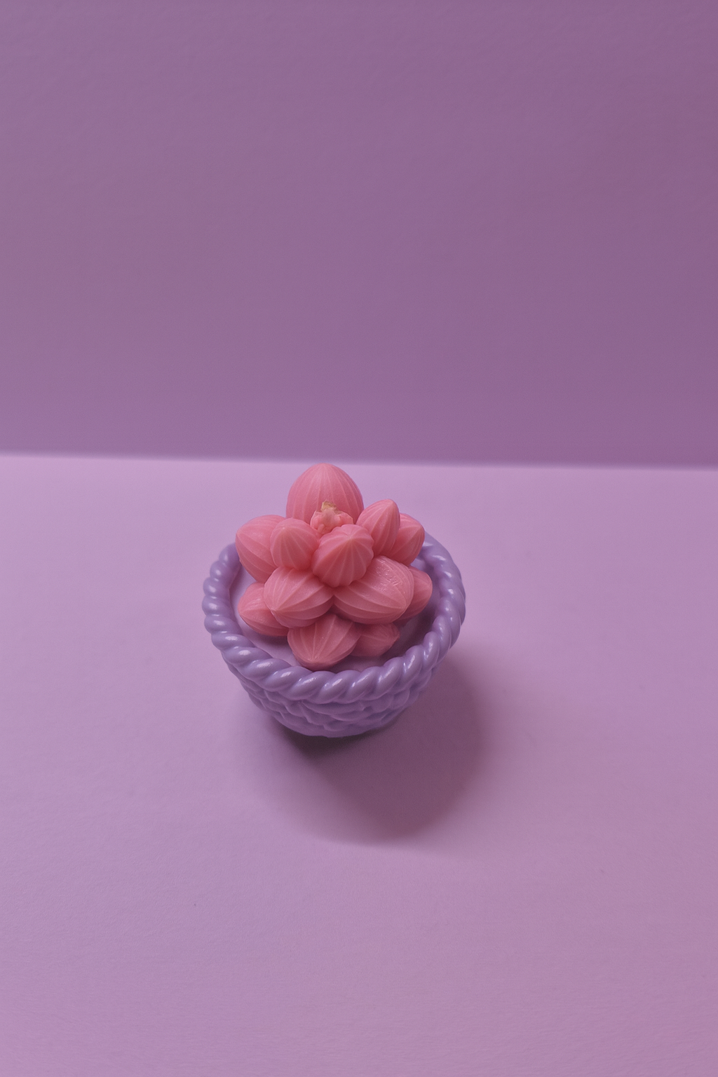 petit pot de fleur cassis rose