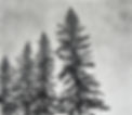 First thing you see, 6x7.jpeg