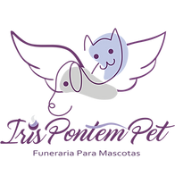 IRIS PONTEM LOGO 2_2024.png