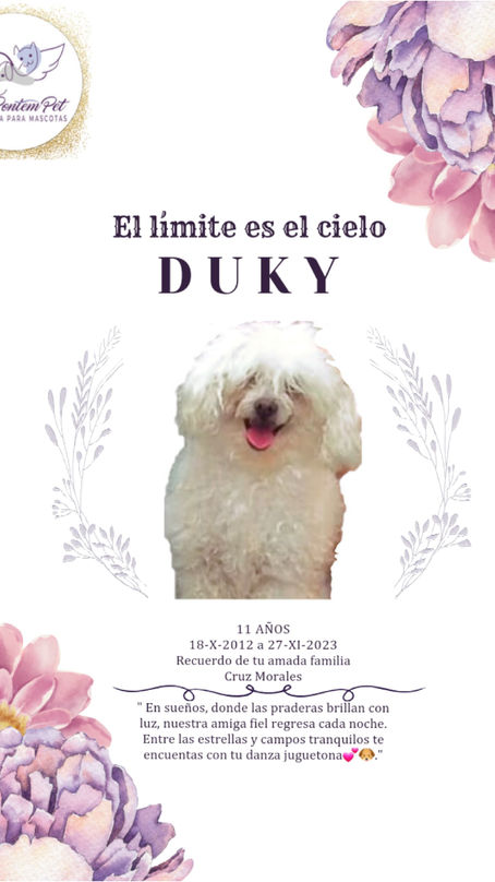 Duky