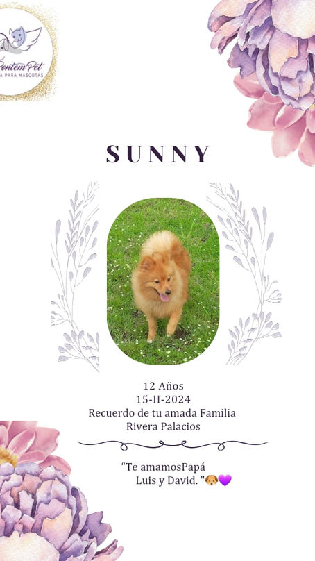 Sunny