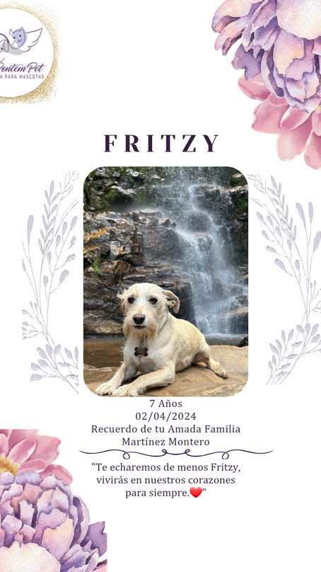 Fritzy