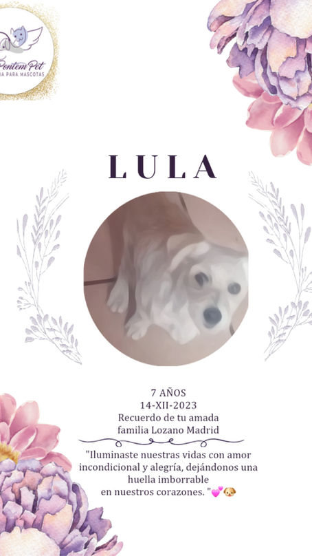 Lula