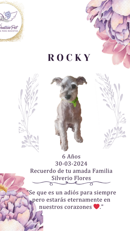 Rocky