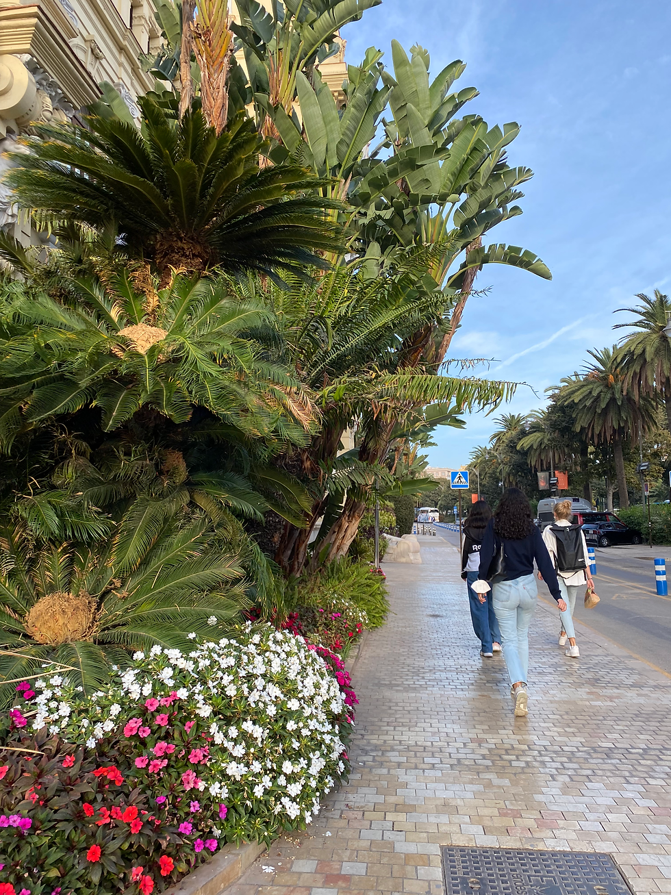 Sevilla5