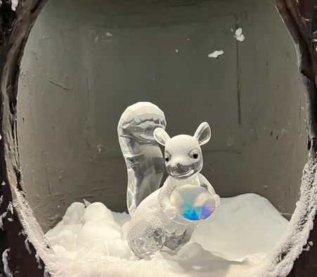 Schneehörnchen.jpeg
