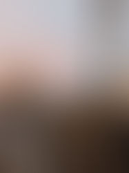 New Zealand - North Island