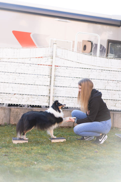 Hundephysio Bewegungstherapie Urmitz