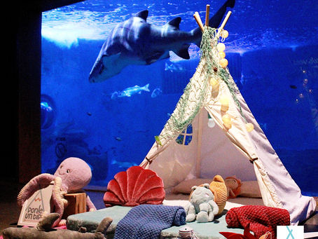 El Acuario de Sevilla: ¡planazo para familias con niños!