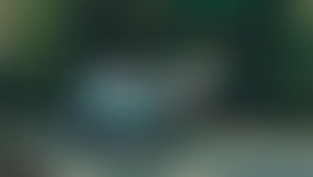 South Spirit - Tofu Touge Event!