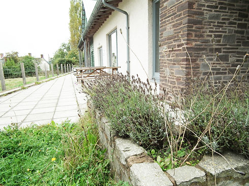 DSCF0211.JPG