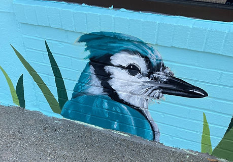 A semi-realistic painting of a head of a blue-jay on a brick wall. It is facing the right. The background is light blue and there are paintings of blades of grass on its right and left.