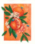 SmallerFileBloodOrange.jpg
