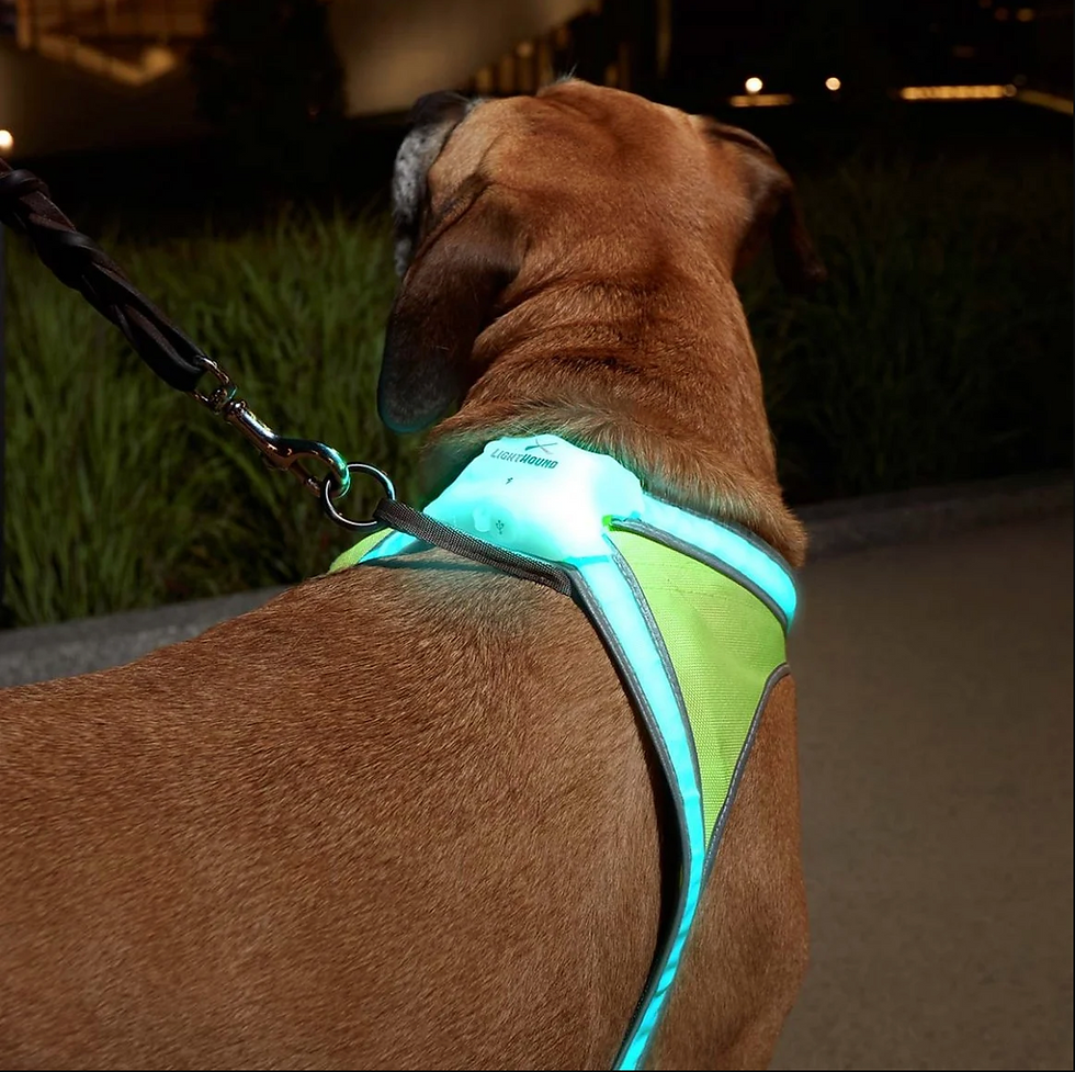 Noxgear Lighthound harness