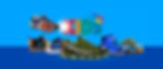 high-beam-boys-led-light-shoe-banner.jpg