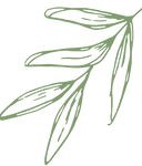 Stylized green leaf graphic
