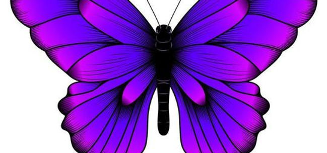 tropical-purple-butterfly-illustration-beautiful-butterfly-vector.jpg