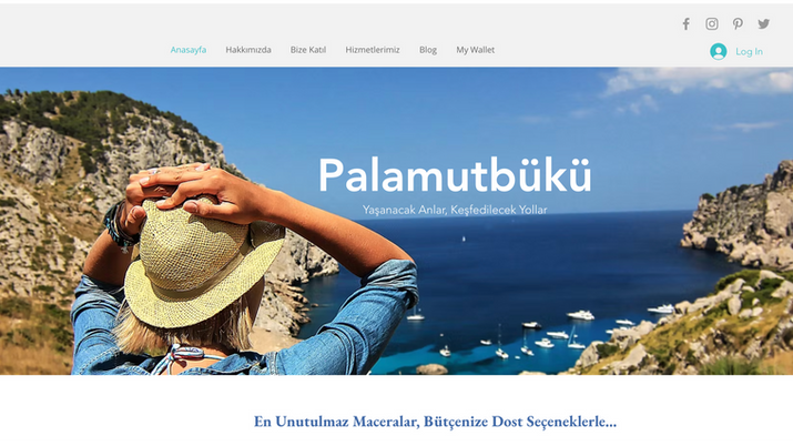 Palamutbükü Life turizm ve gezi rehberi web sitesi tasarımı