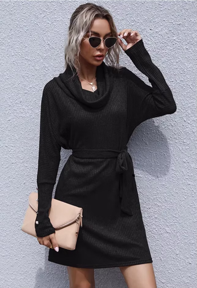 Pile Collar Knit Sweater Dress