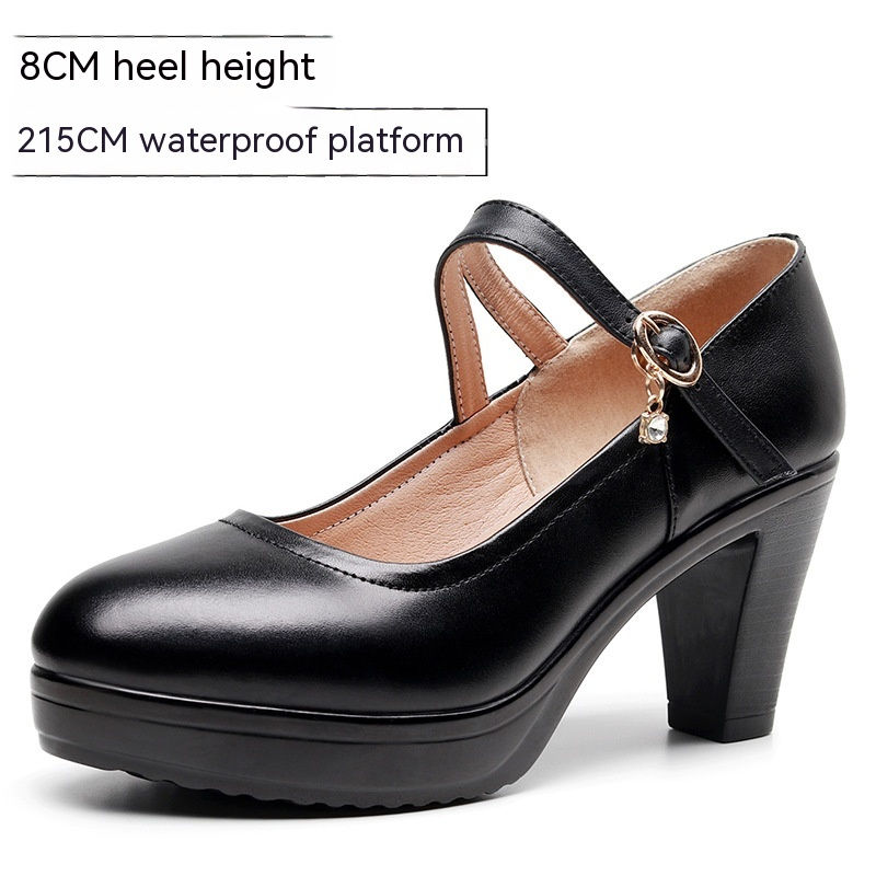 Thumbnail: The Academic Aura – High Heel Mary Jane Shoes