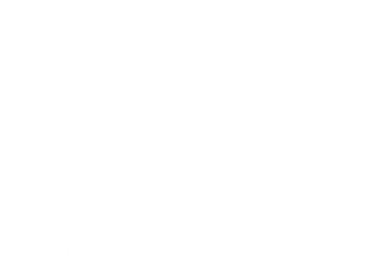 White on Transparent.png