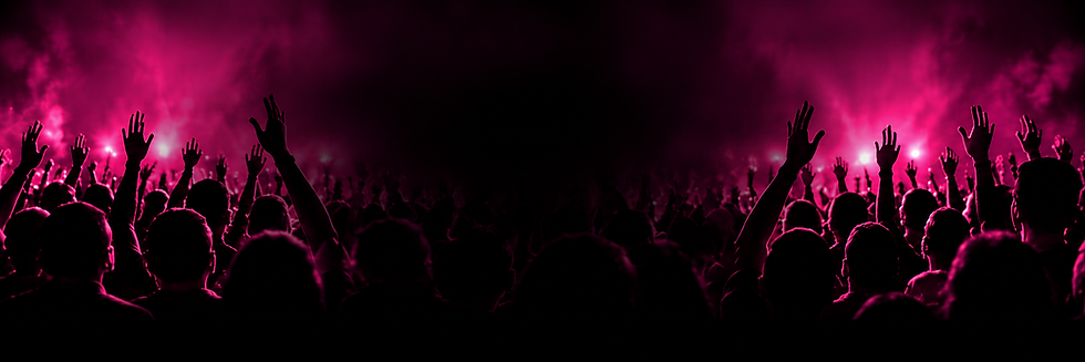 Multitud de la comunidad latina en español en un concierto.