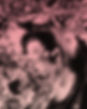 foil-rosa.jpg