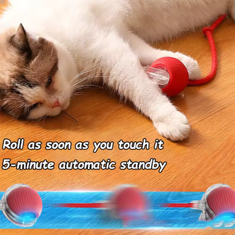 Miniatura: Bolinha Giratória Automática Brinquedos Pet Gato Cachorro