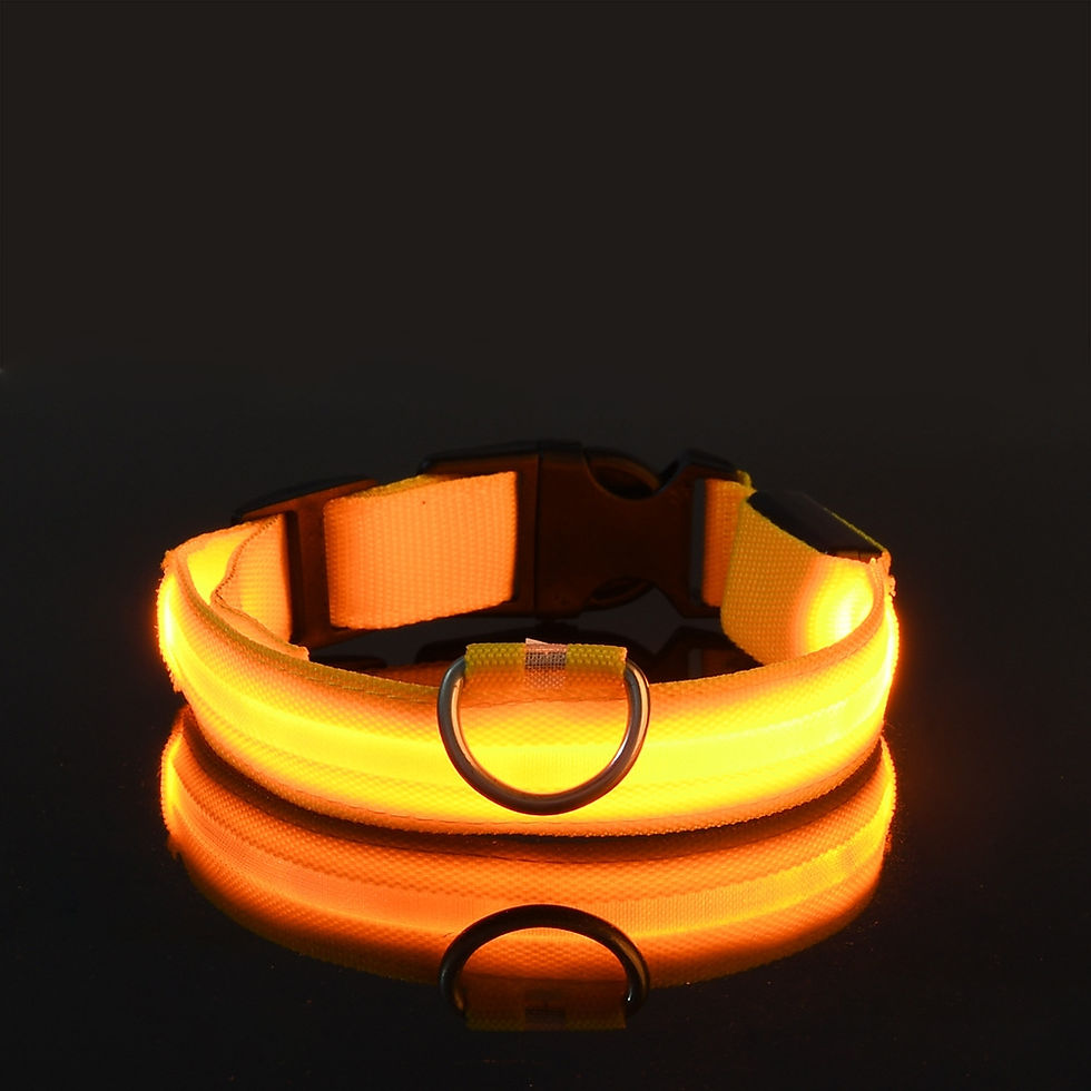 Miniatura: Guia Passeio Noturno Luminoso Led Cachorro Gato