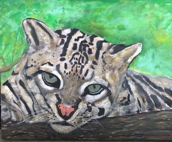 * Claudia Gray "OCELOT EYES" Acrylic 16x20 $895