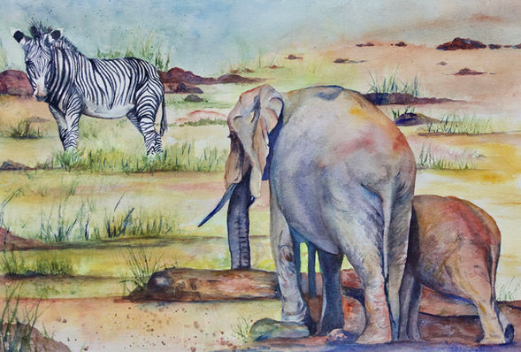 Marcia Sivek "WATER HOLE" 20x14 watercolor $200