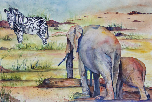 Marcia Sivek "WATER HOLE" 20x14 watercolor $200